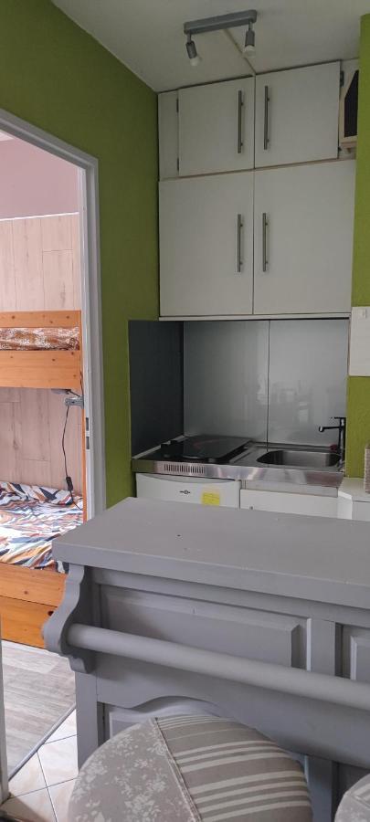 Appartement Avec Vue Sur La Montagne Bagnères-de-Luchon エクステリア 写真